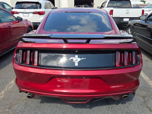 Used 2016 Ford Mustang Coupe w/ Equipment Group 051A RWD image 7