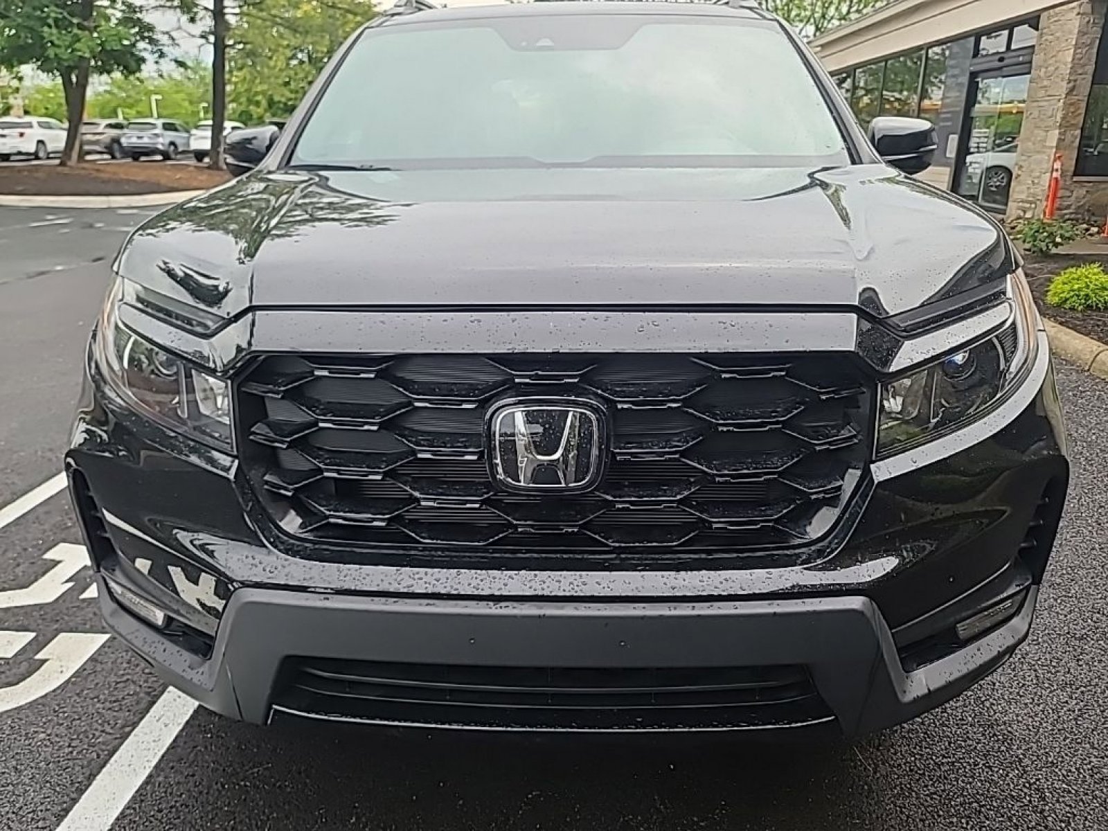 Used 2023 Honda Passport Elite image 4