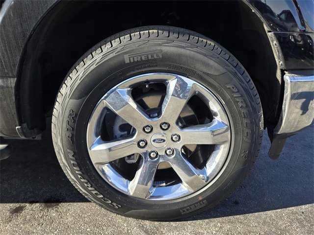 Used 2023 Ford F150 XLT w/ Equipment Group 302A High image 40