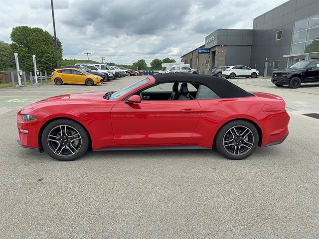 Used 2019 Ford Mustang Premium RWD image 2