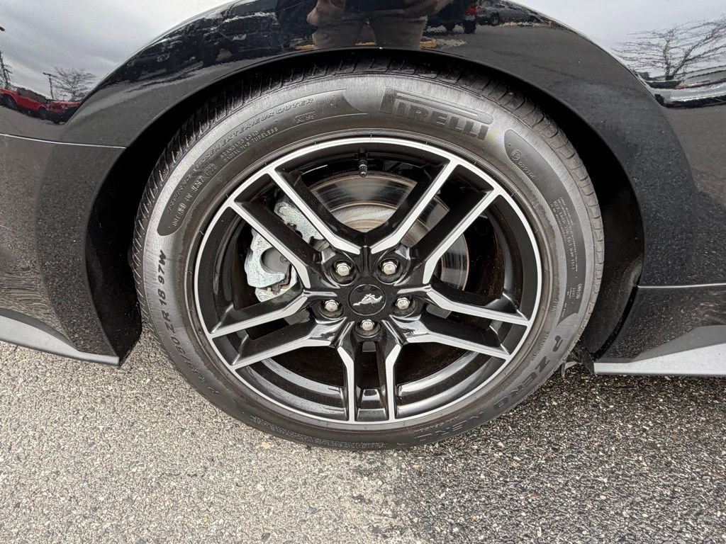 Used 2023 Ford Mustang GT Premium w/ Equipment Group 401A image 14