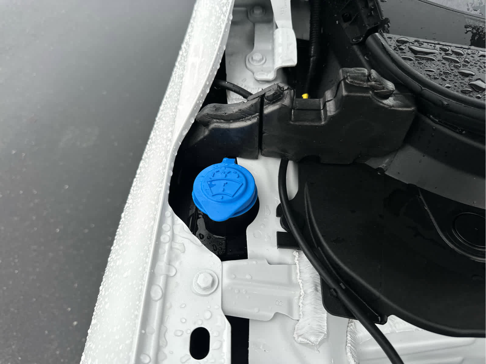 New 2026 Honda Pilot Touring image 20