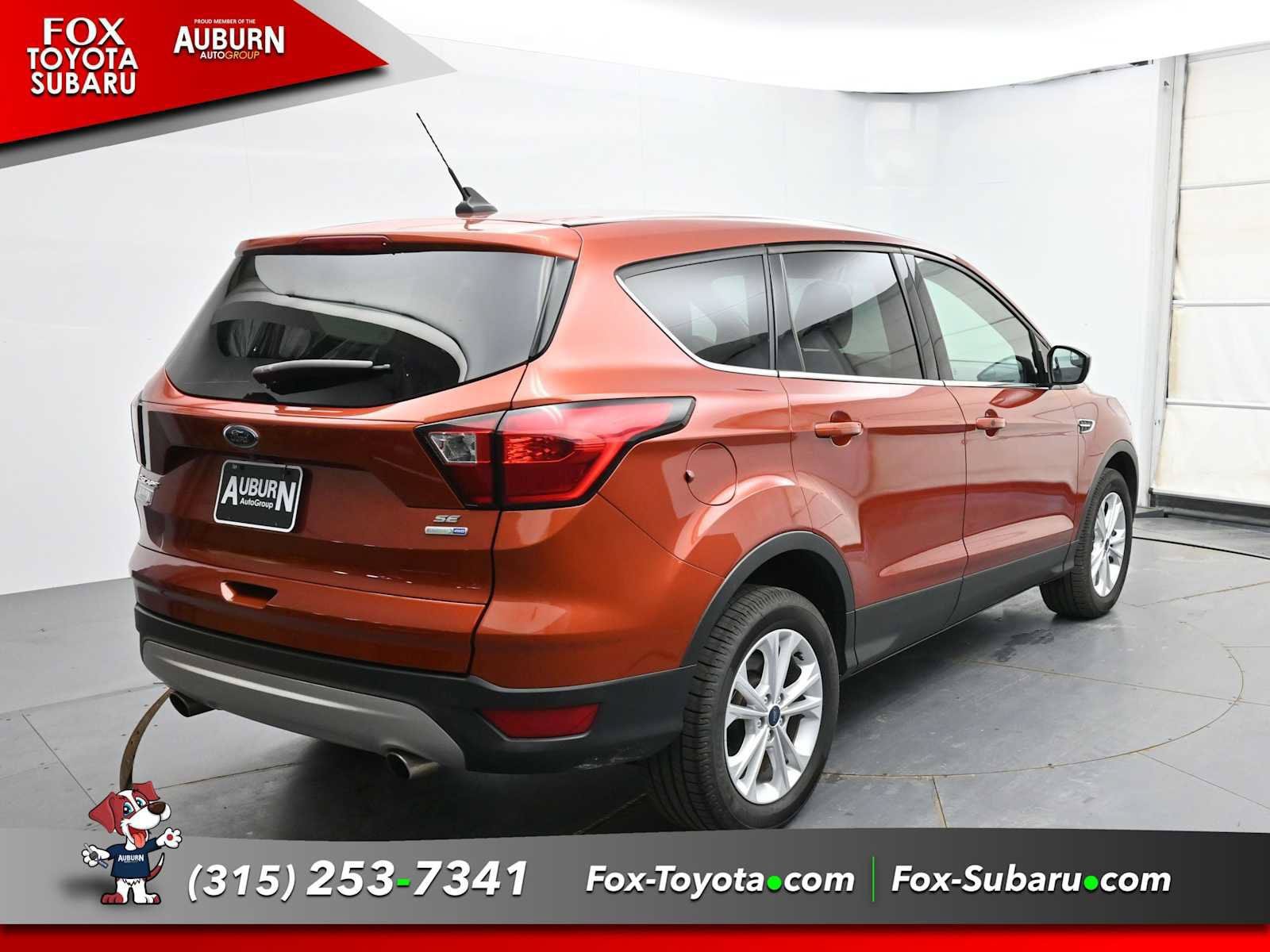 Used 2019 Ford Escape SE AWD/4WD image 16