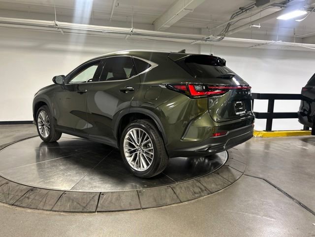 Used 2026 Lexus NX 350 AWD w/ Cold Area Package image 7