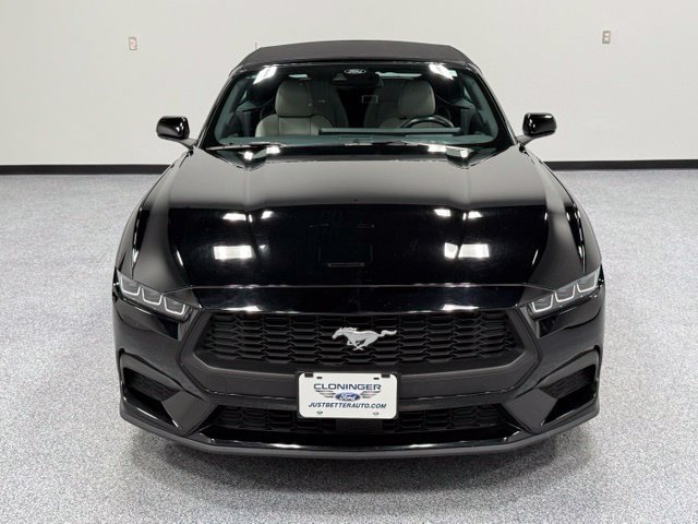 Used 2024 Ford Mustang Premium RWD image 3
