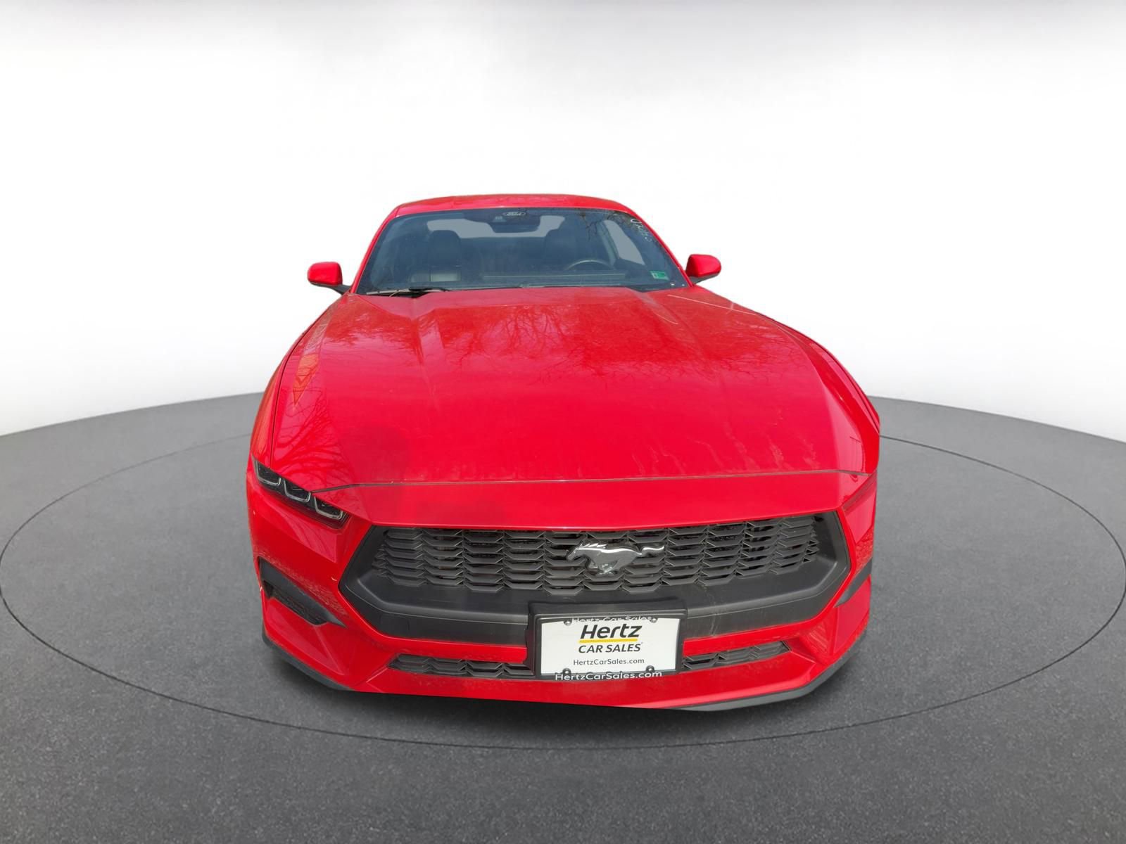 Used 2024 Ford Mustang Premium image 3