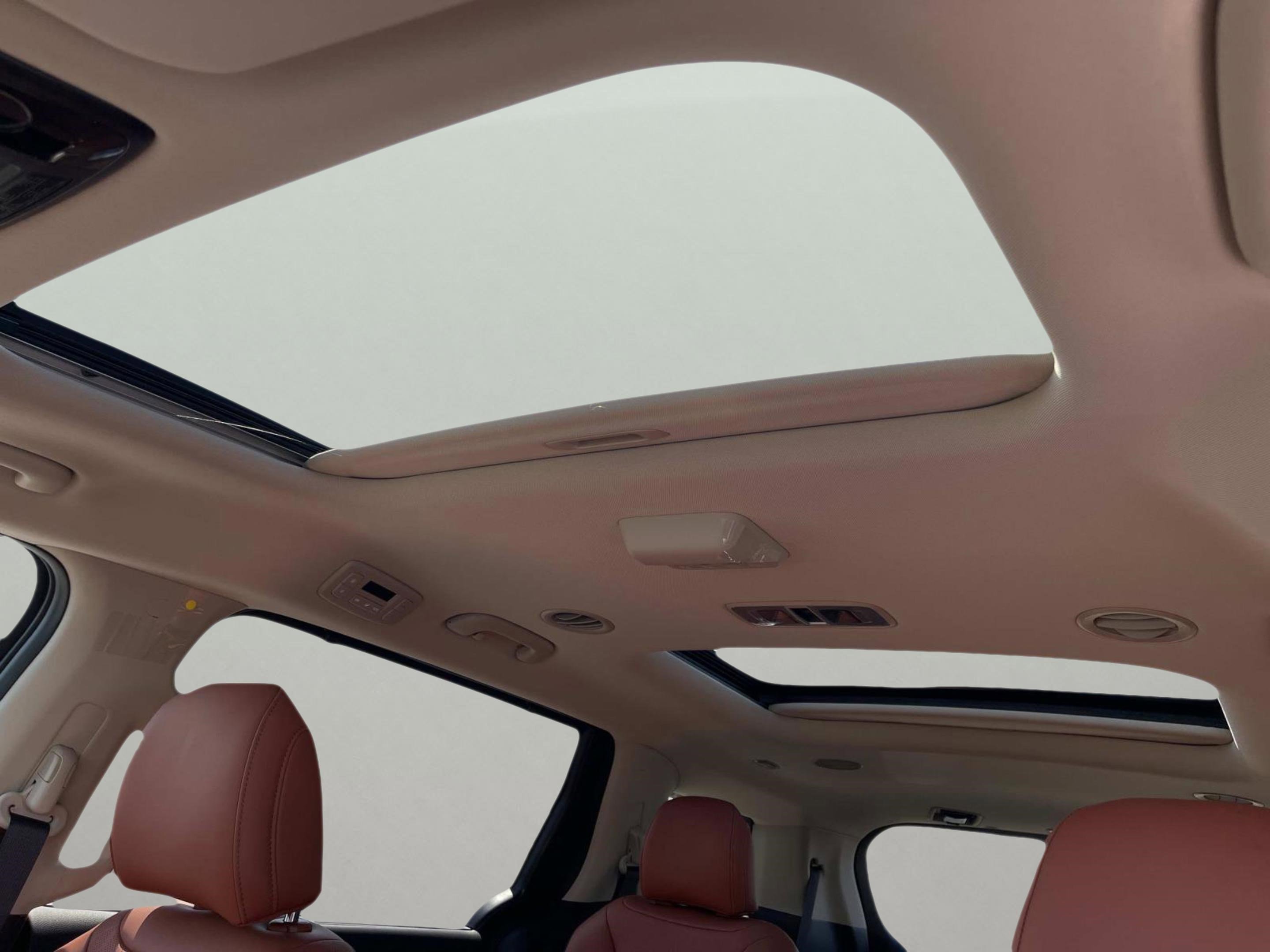New 2026 Kia Carnival SX image 19