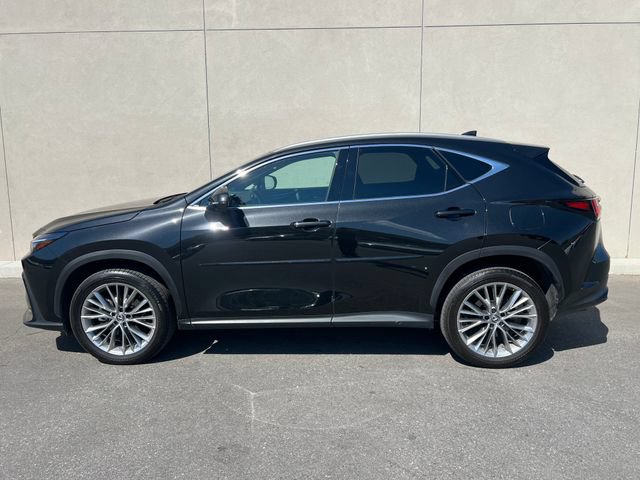 Used 2025 Lexus NX 350h AWD w/ Accessory Package (2T) image 4