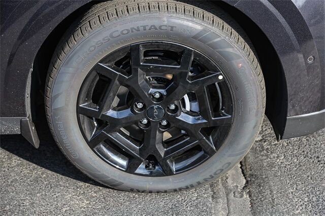 New 2026 Kia Carnival SX Prestige image 12