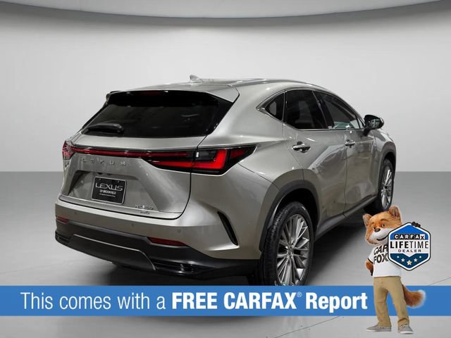 Used 2023 Lexus NX 350 AWD image 4