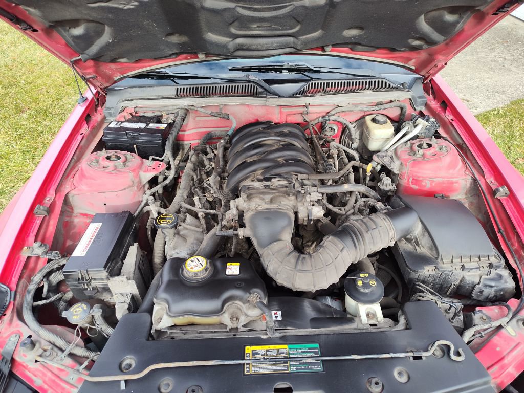 Used 2006 Ford Mustang GT image 8