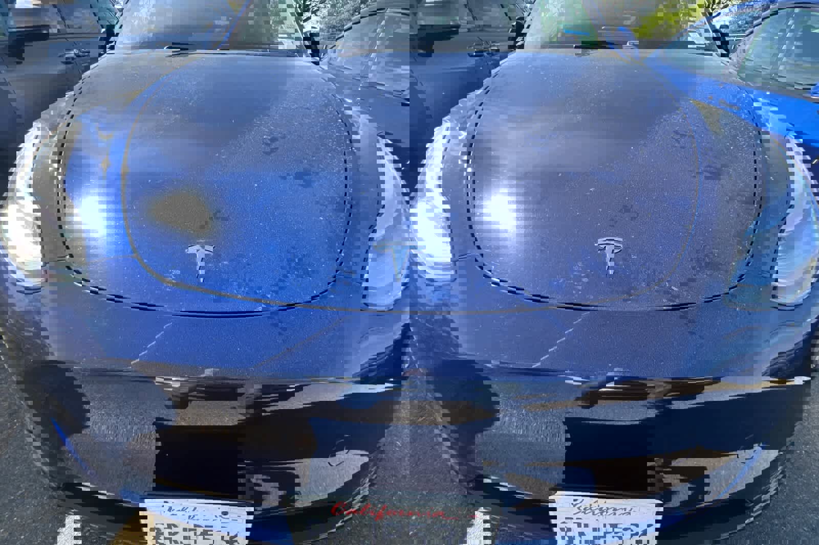 Used 2020 Tesla Model Y Long Range image 12