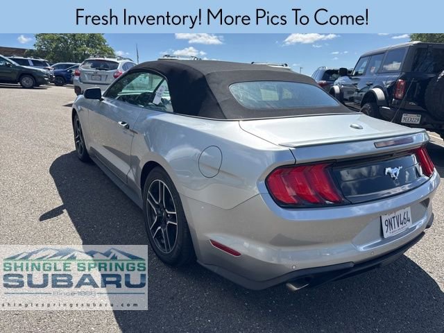 Used 2022 Ford Mustang Premium image 3
