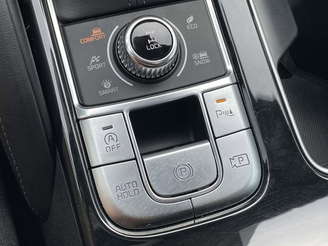 Used 2025 Kia Telluride SX Prestige X-Pro image 41