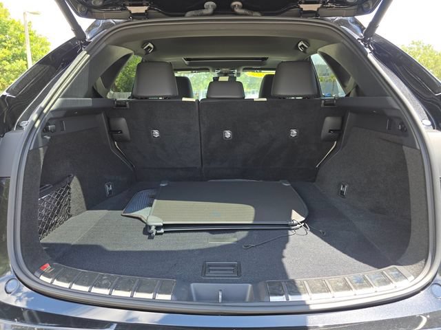 Used 2023 Lexus NX 250 FWD w/ Cold Area Package image 15