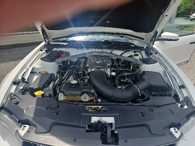 Used 2010 Ford Mustang GT Premium RWD image 17