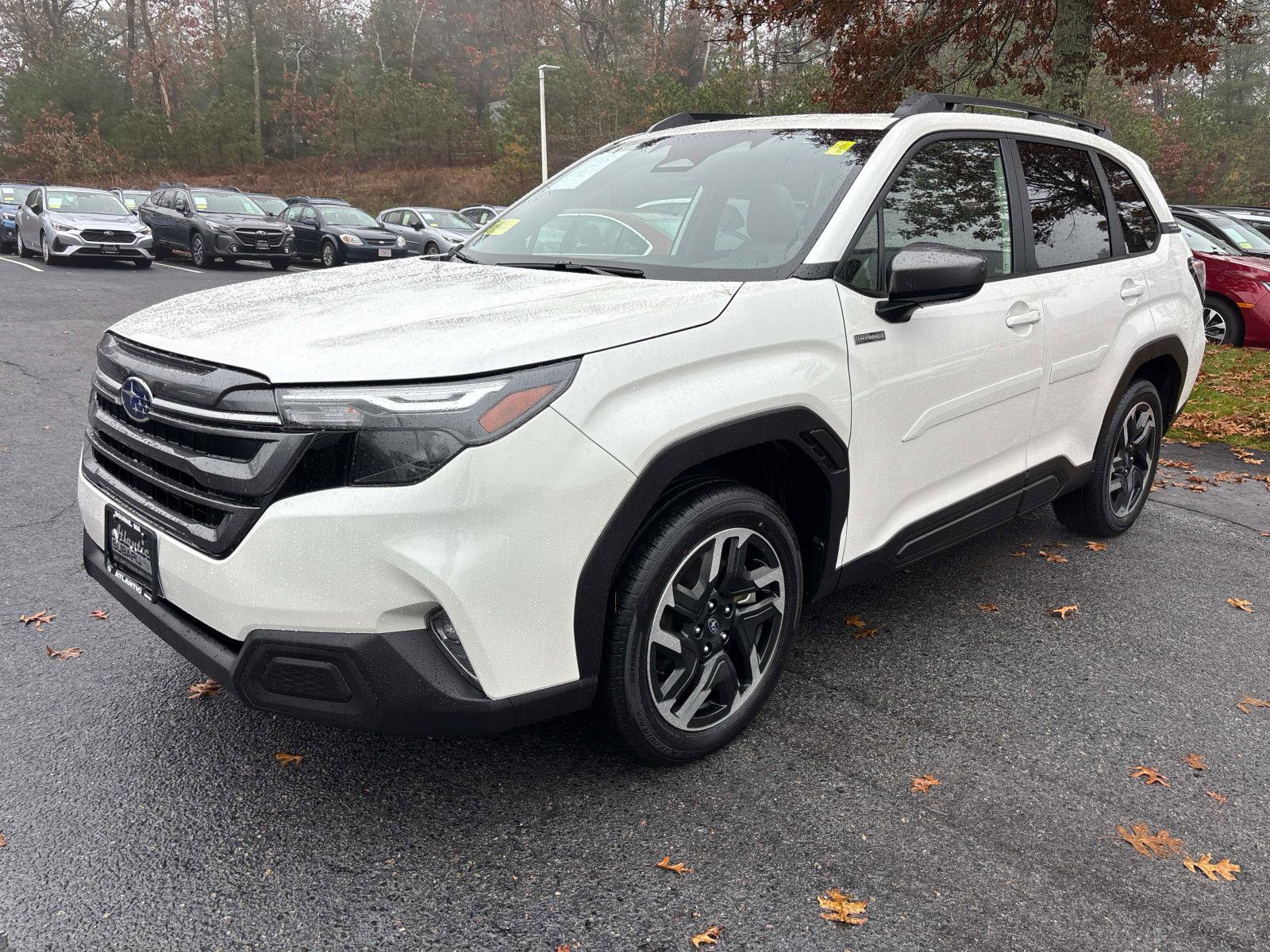 Certified 2025 Subaru Forester Premium image 7