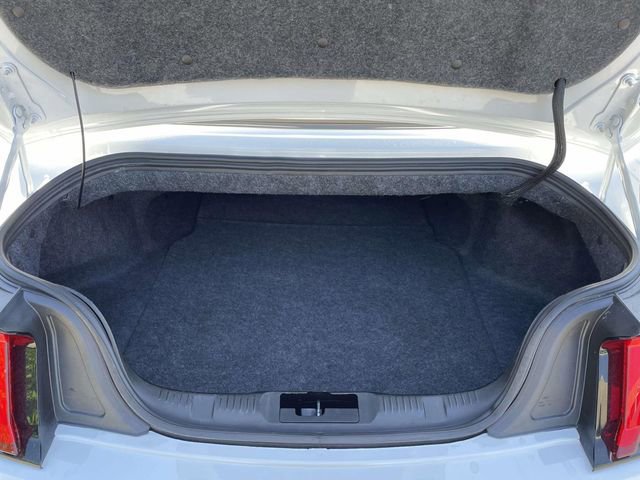 Certified 2019 Ford Mustang Premium w/ Equipment Group 201A image 14