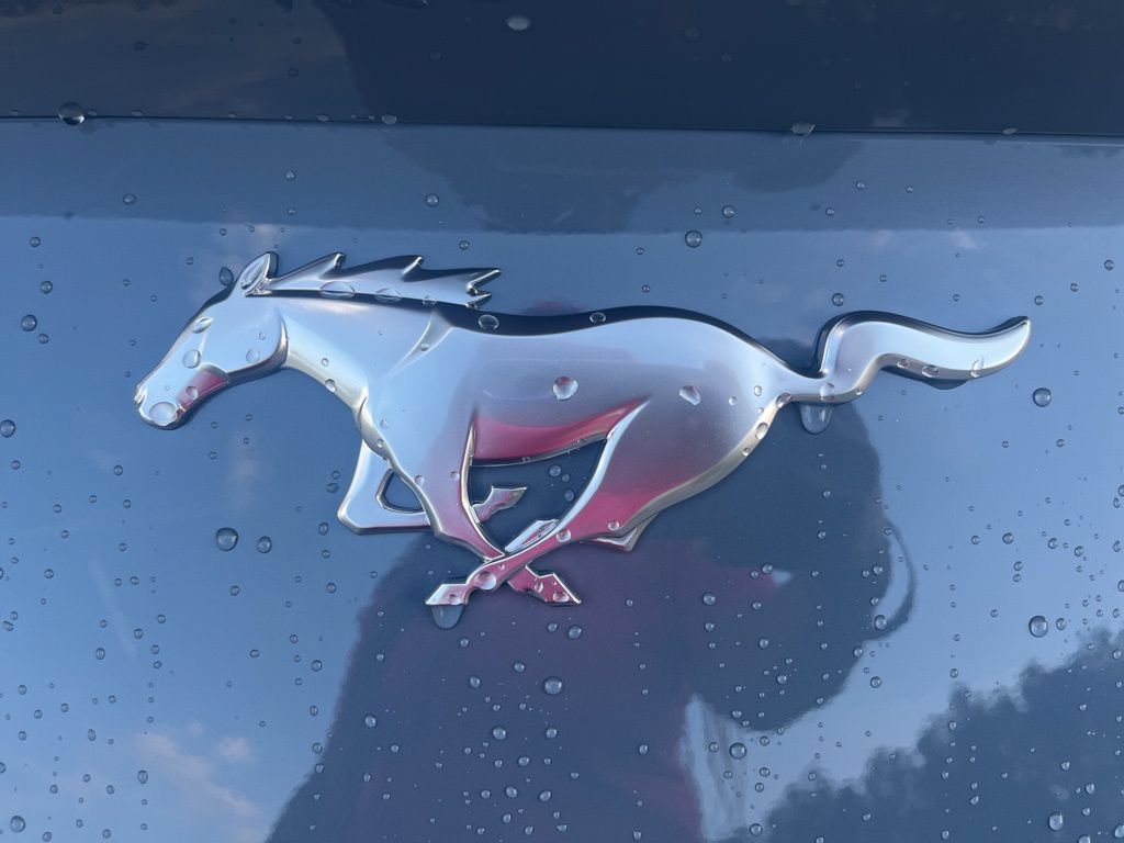 New 2025 Ford Mustang Coupe RWD image 15