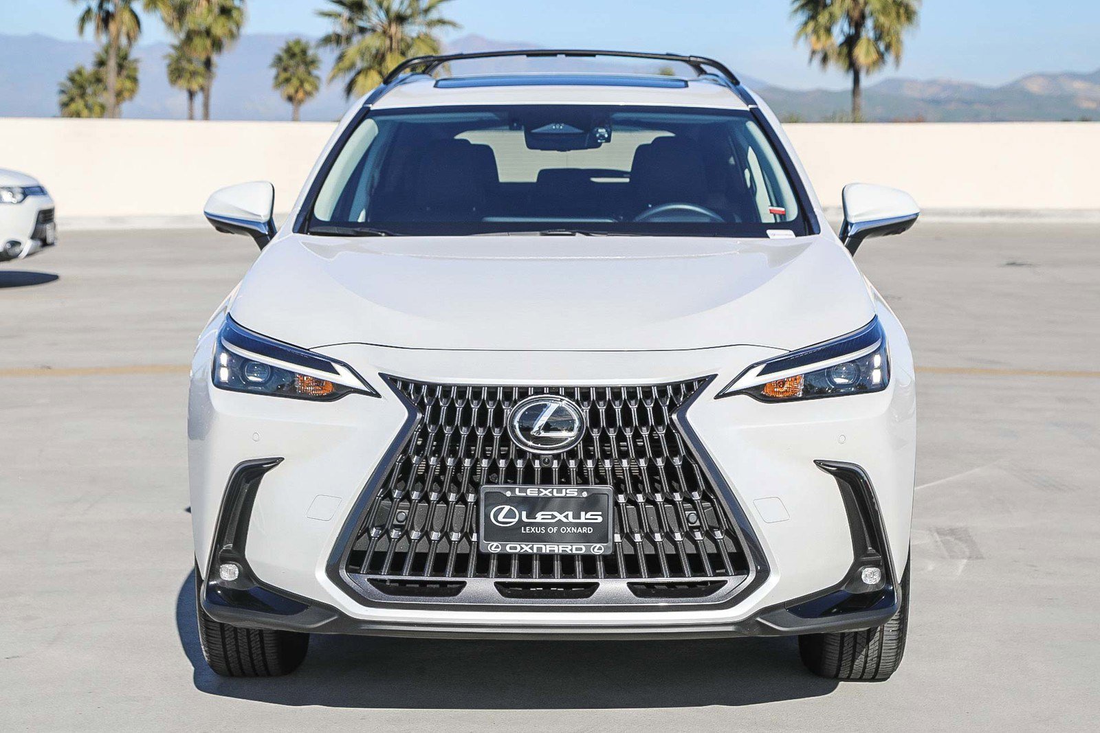 Used 2025 Lexus NX 350h AWD w/ Premium Package image 2