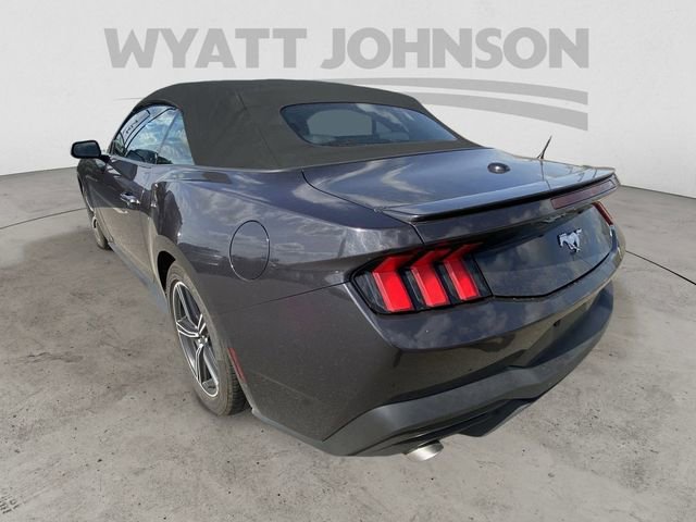 Used 2024 Ford Mustang Premium image 7