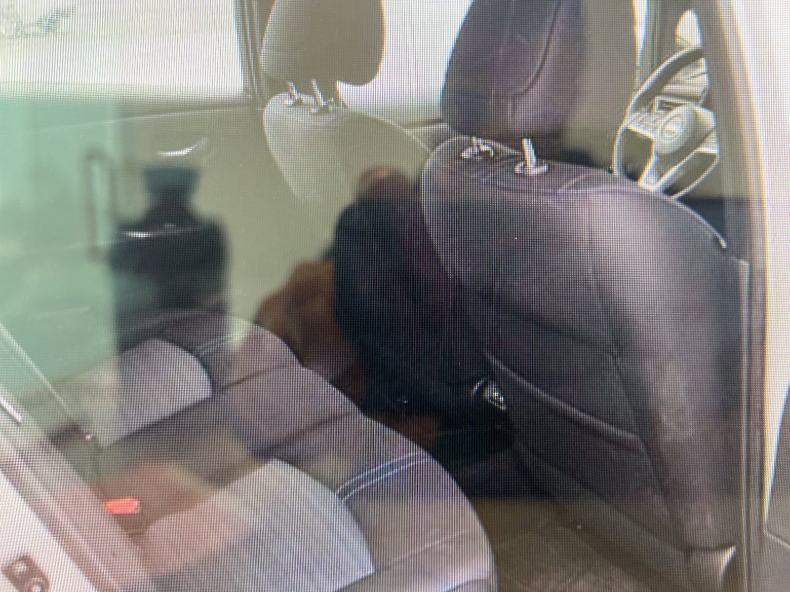 Used 2023 Nissan Leaf S image 8