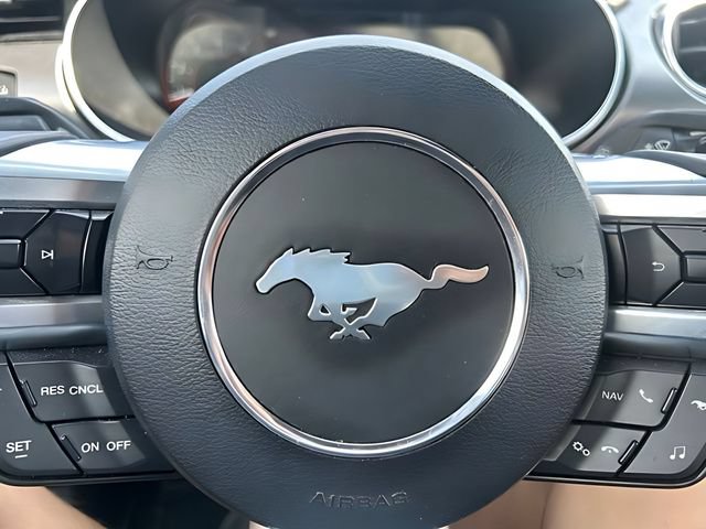 Used 2018 Ford Mustang Premium w/ Equipment Group 201A RWD image 22