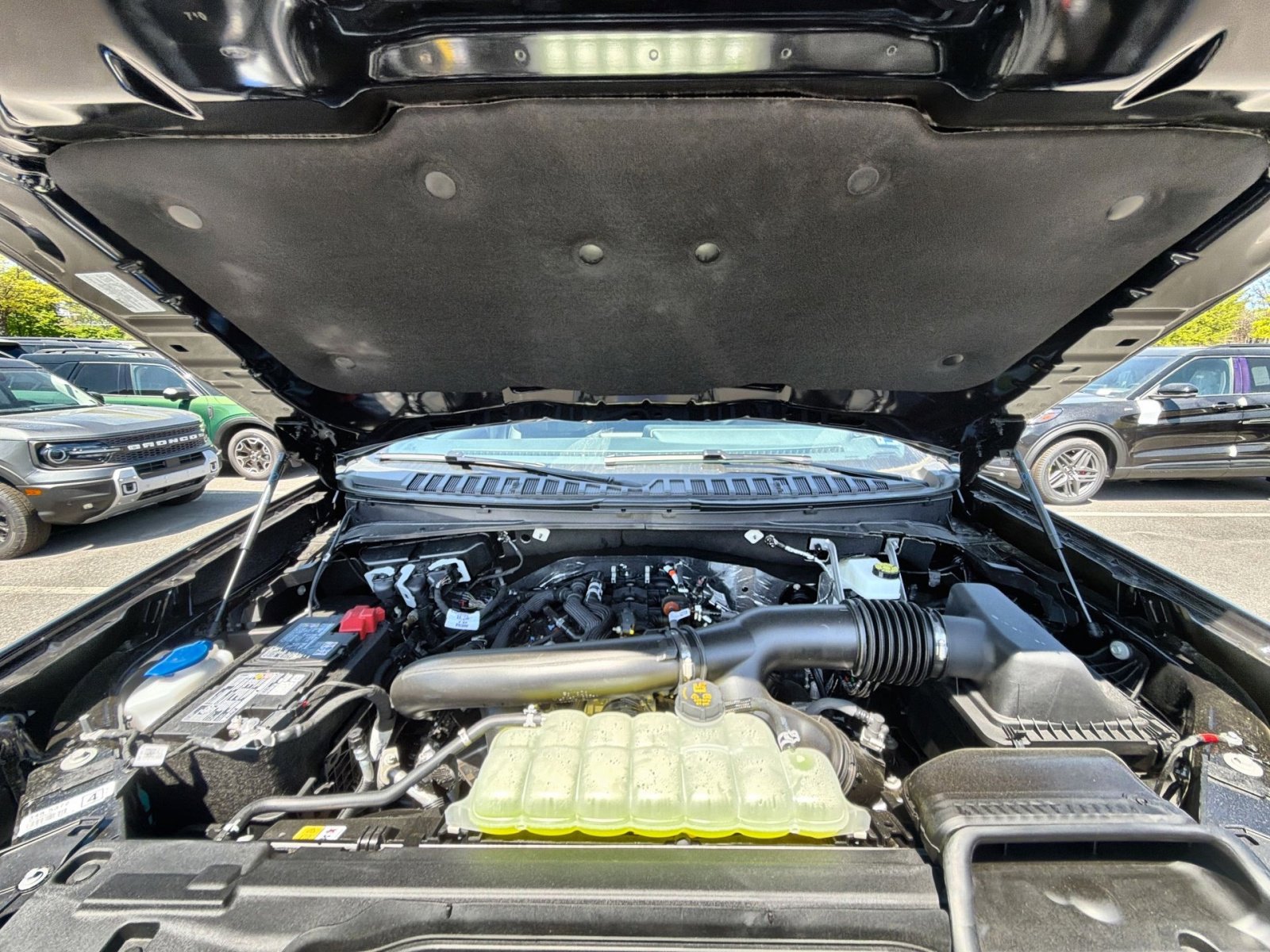 New 2026 Ford Expedition Platinum w/ Stealth Appearance Package image 34