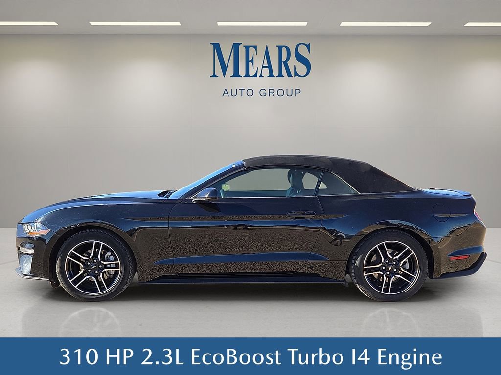 Used 2023 Ford Mustang Premium image 3