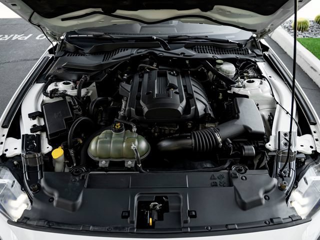 Used 2019 Ford Mustang Premium RWD image 40