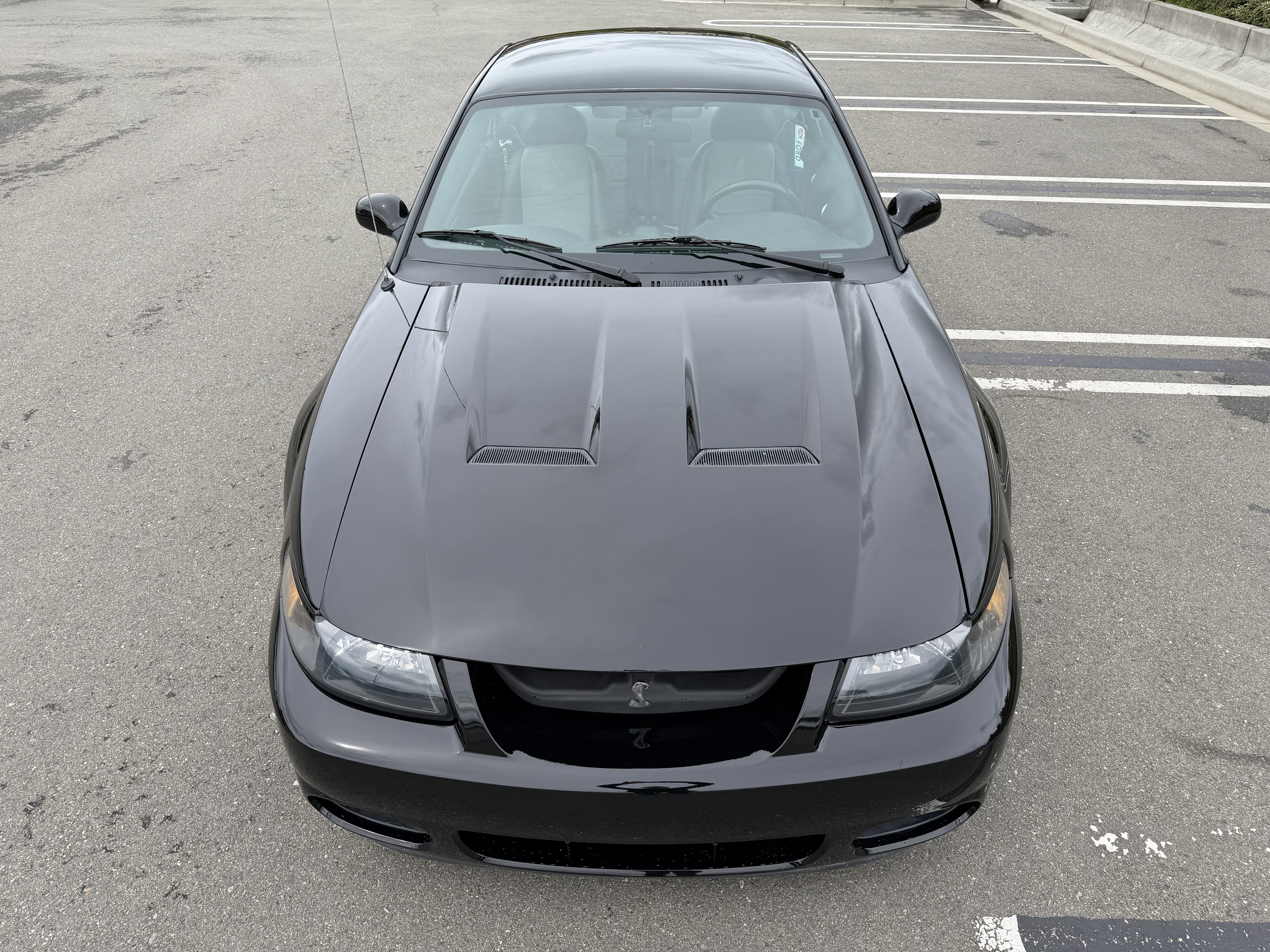 Used 2003 Ford Mustang Cobra RWD image 14