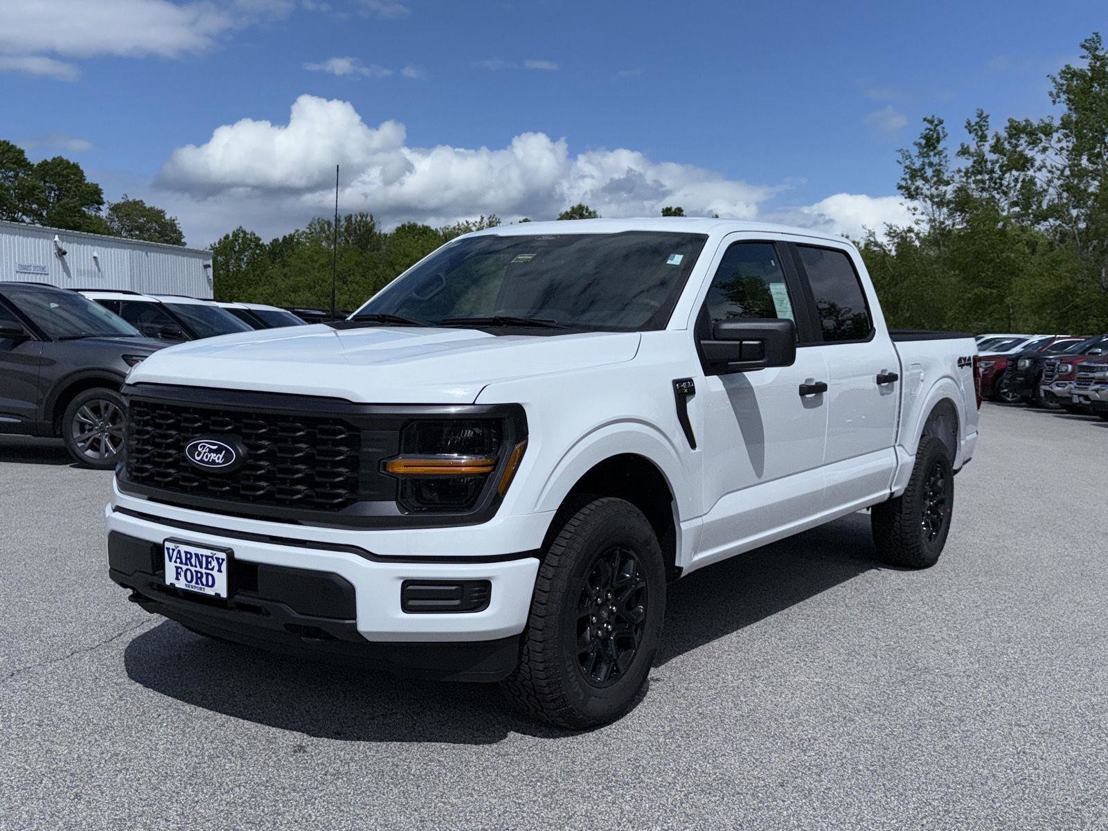 New 2025 Ford F150 STX image 1