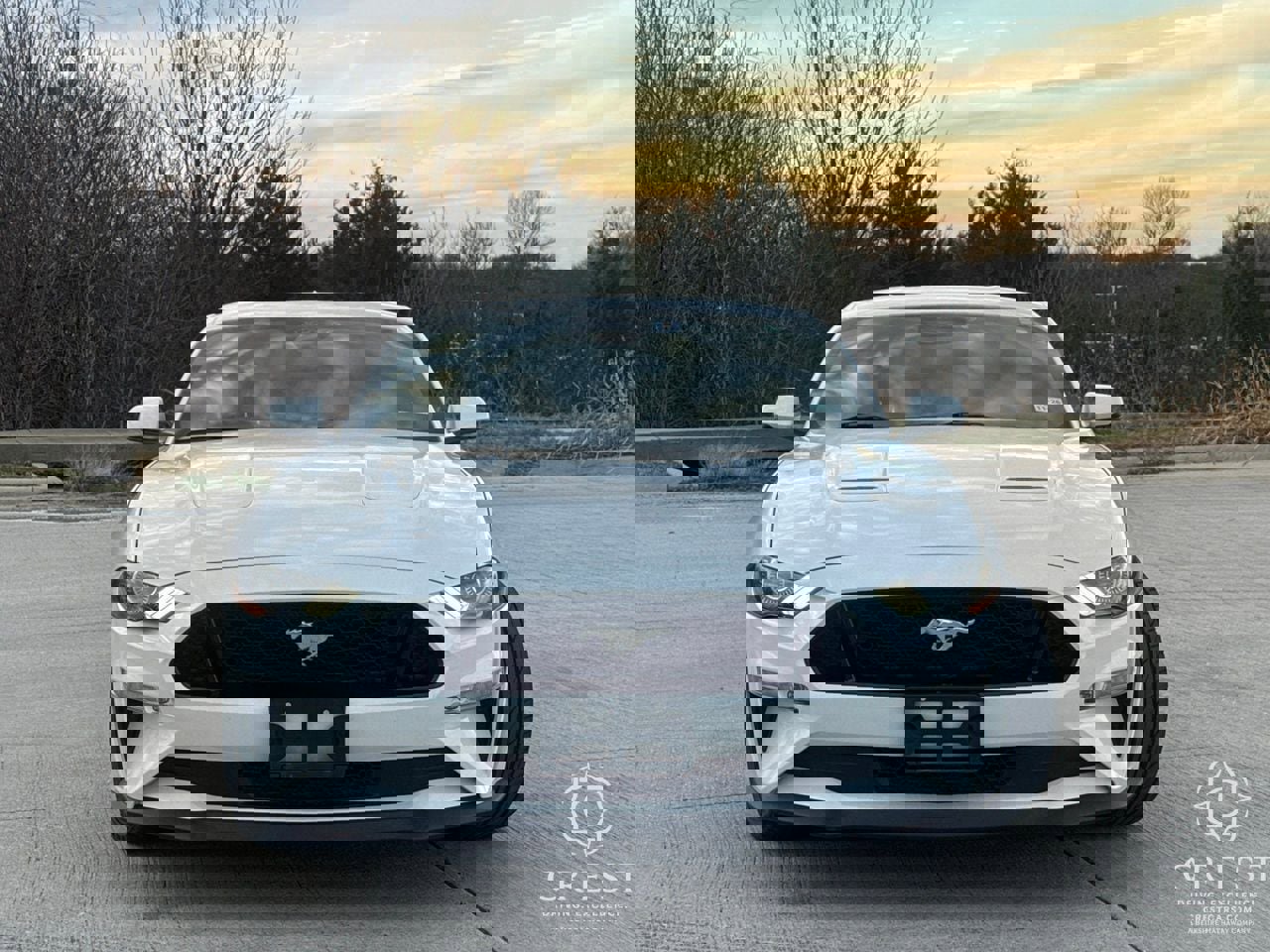 Used 2021 Ford Mustang GT Premium w/ GT Performance Package image 8