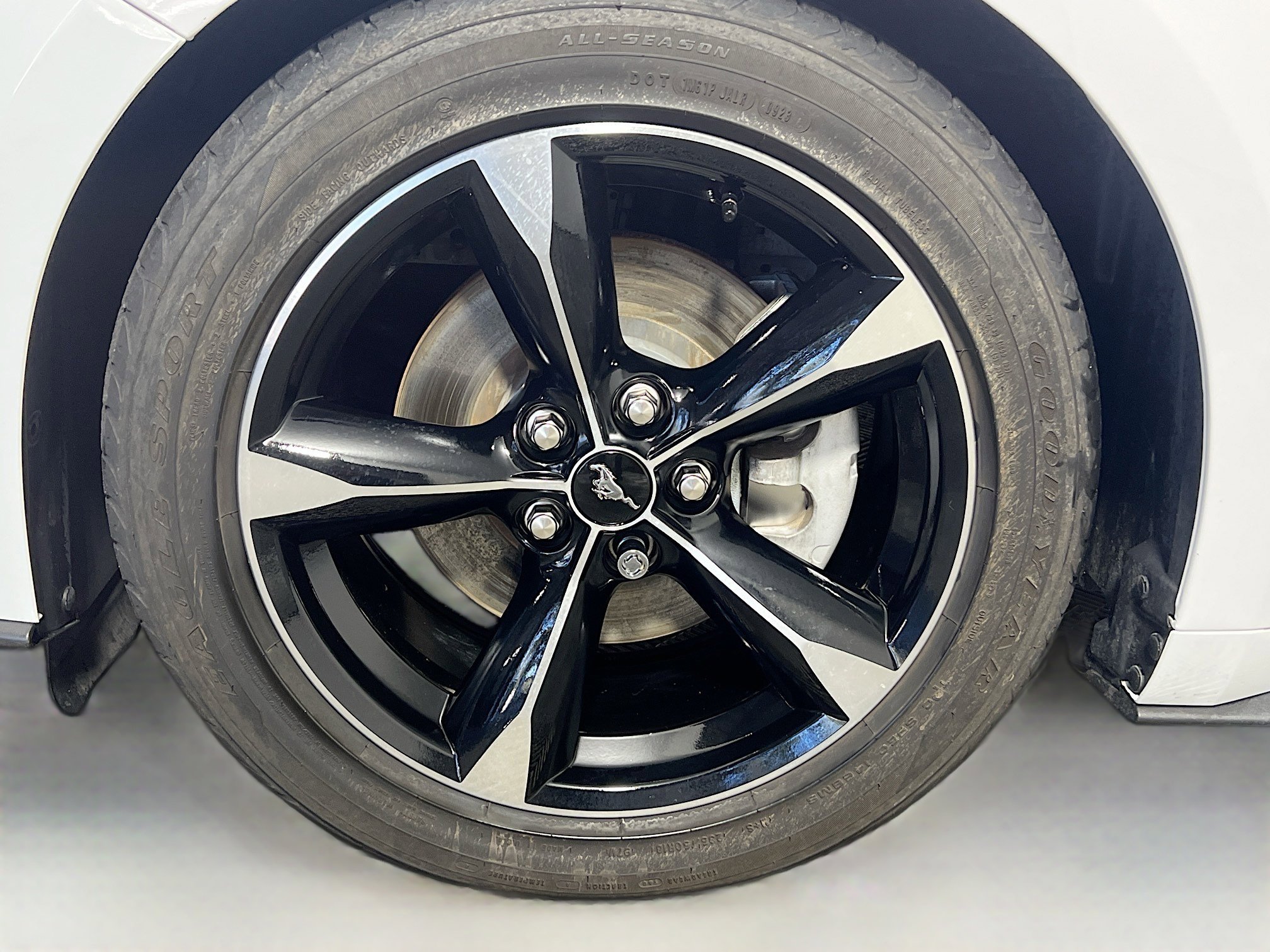 Used 2021 Ford Mustang EcoBoost image 13