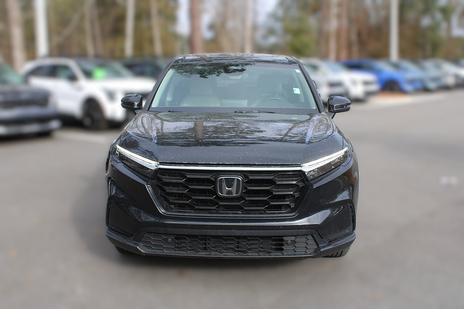 Used 2025 Honda CR-V EX-L image 17