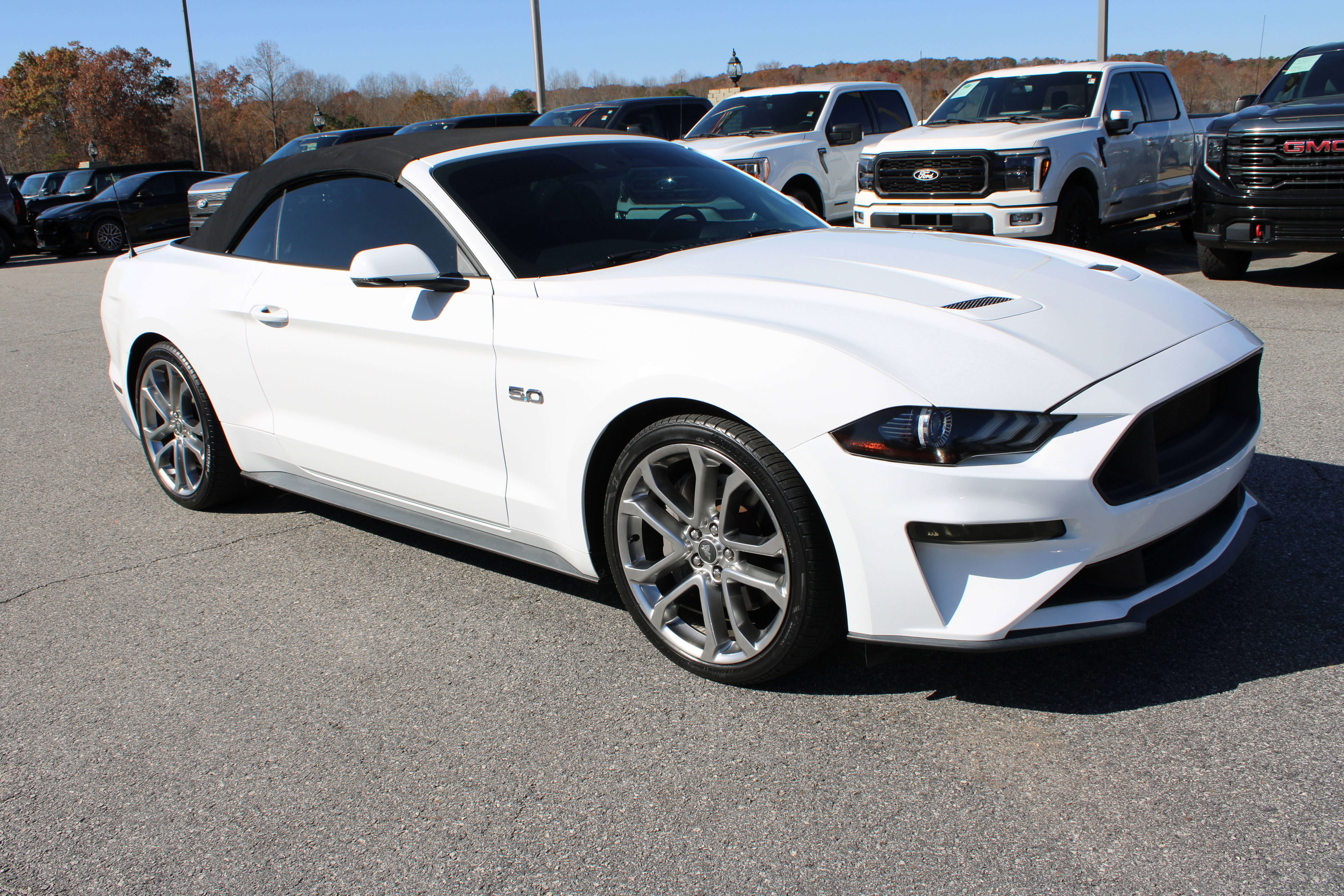 Used 2019 Ford Mustang GT Premium w/ Equipment Group 401A image 4