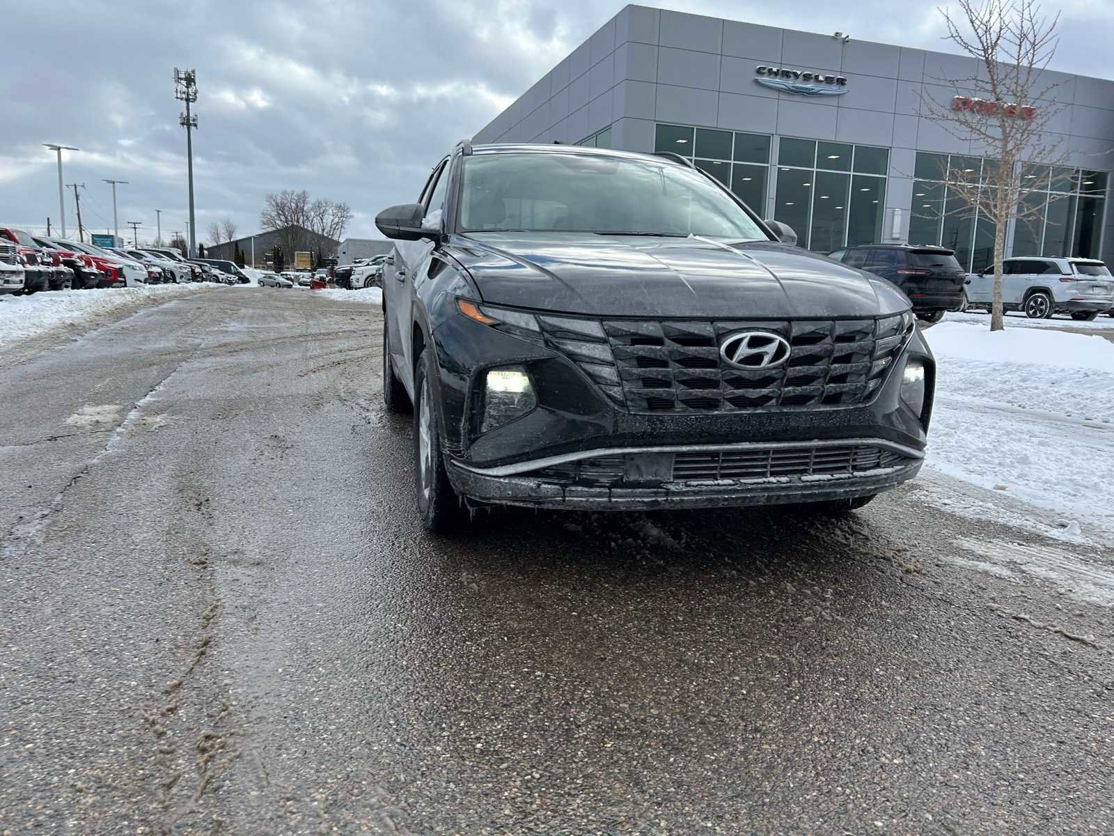 Used 2024 Hyundai Tucson SEL image 9