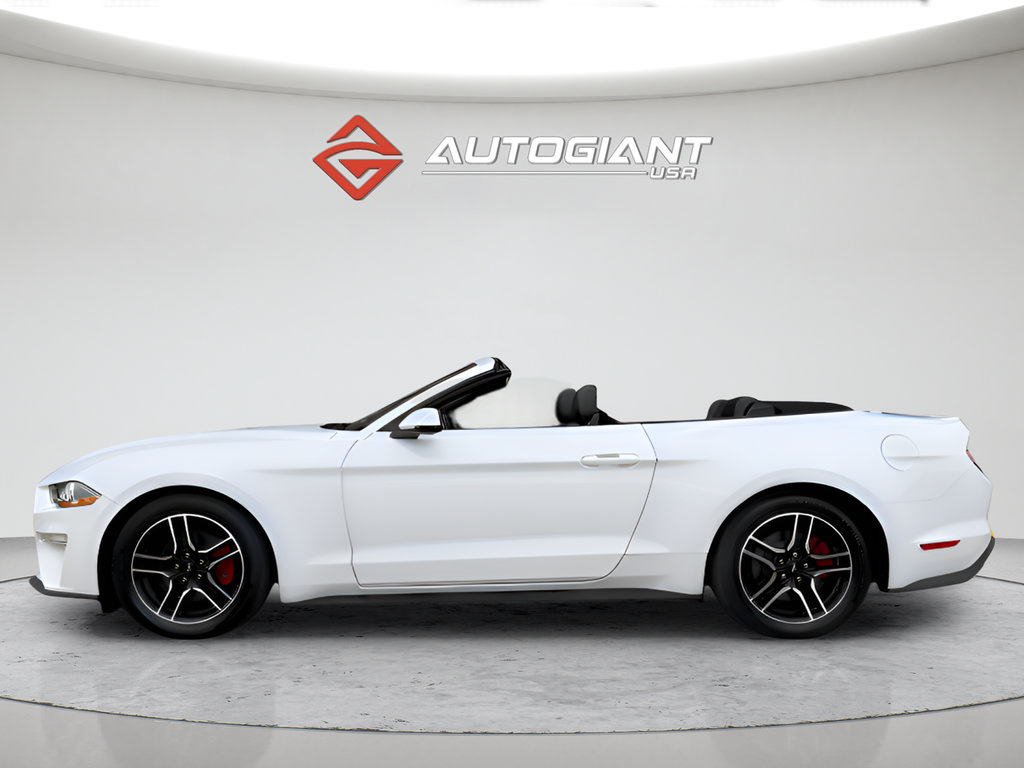 Used 2019 Ford Mustang Premium RWD image 6