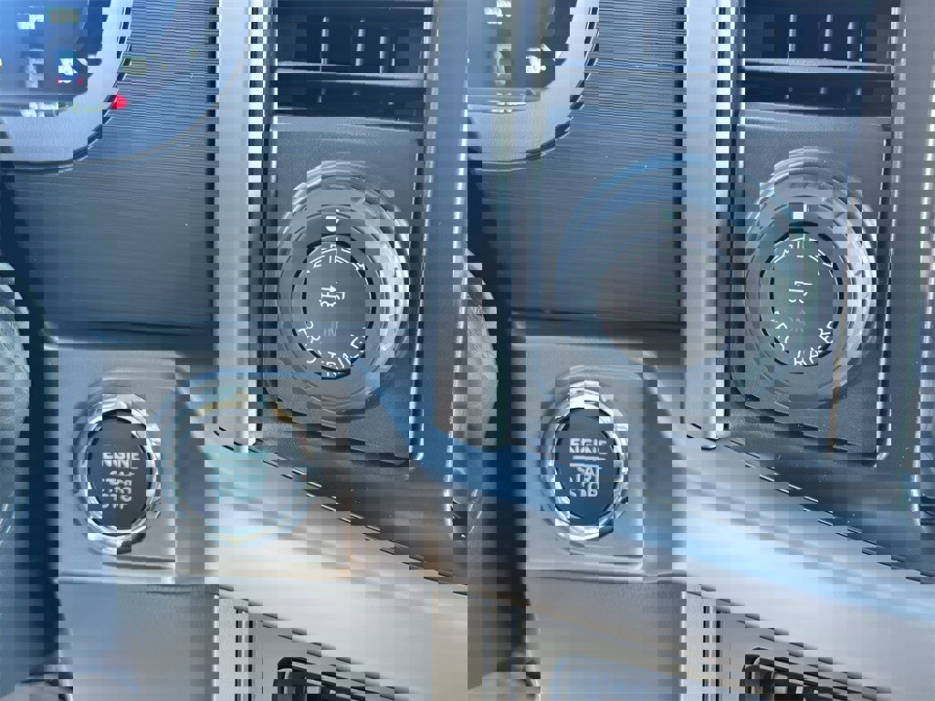 New 2025 Ford F150 XLT w/ Equipment Group 302A MID image 19