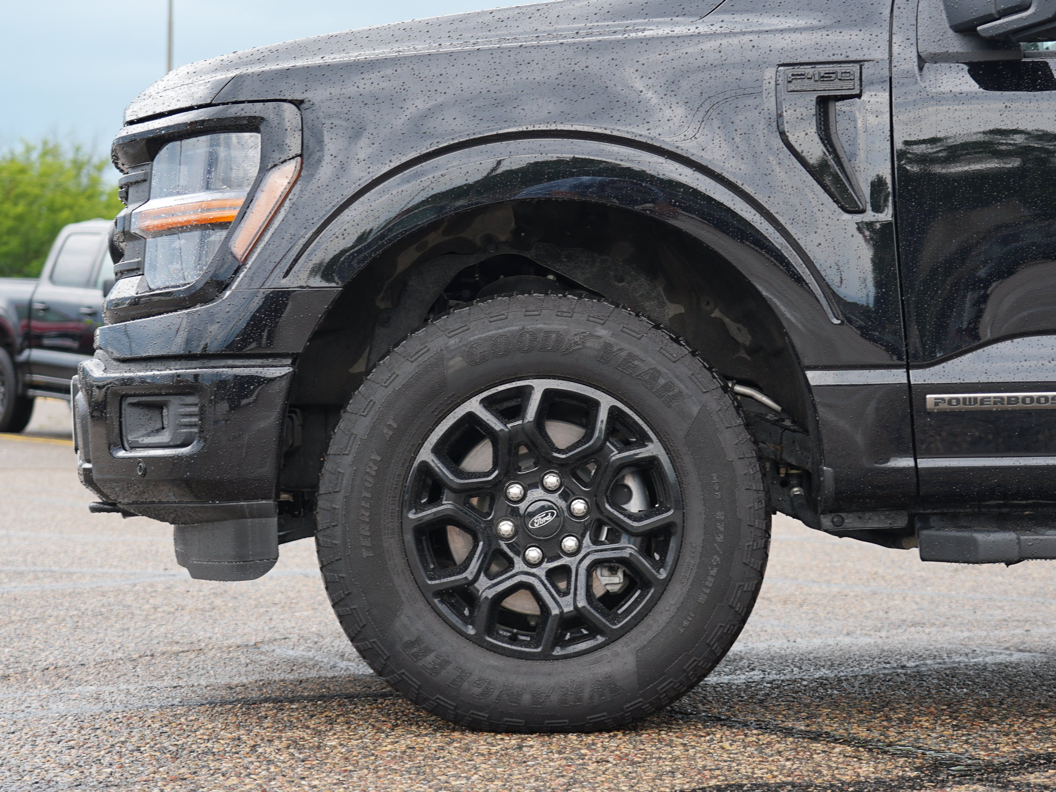 Used 2025 Ford F150 XLT w/ Equipment Group 302A MID AWD/4WD image 12