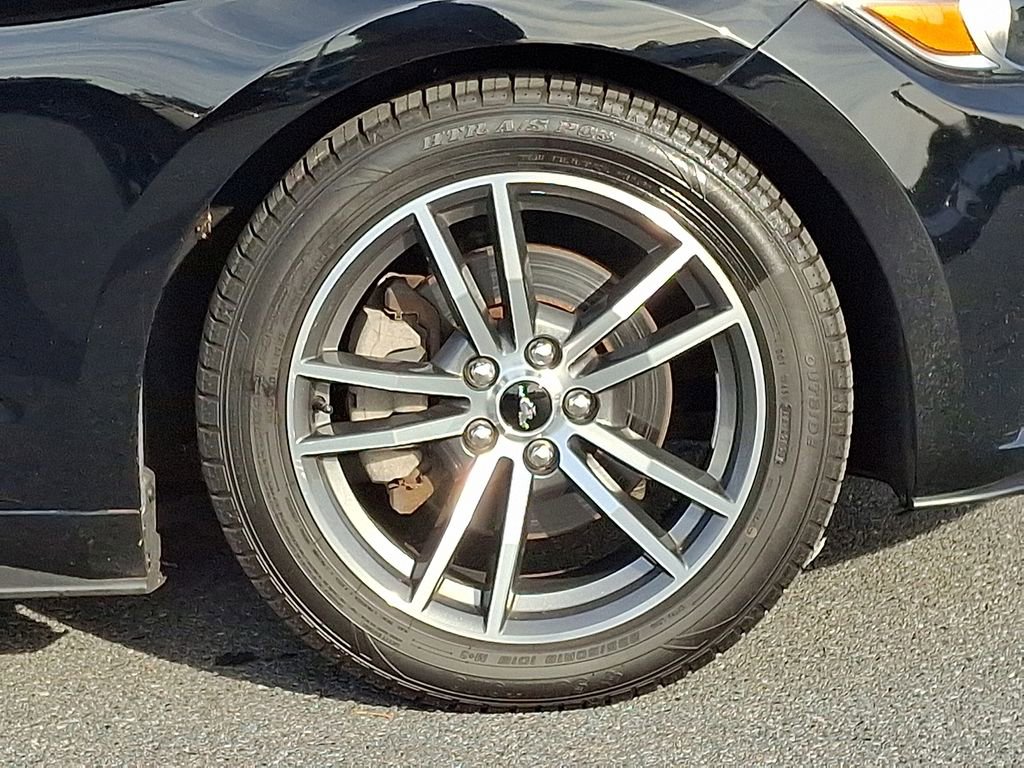 Used 2015 Ford Mustang Premium w/ Equipment Group 201A image 8