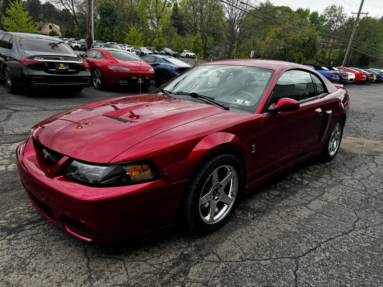 Used 2004 Ford Mustang Cobra RWD image 8