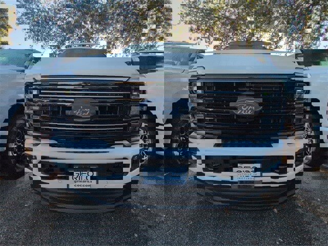 New 2026 Ford F250 Platinum image 3
