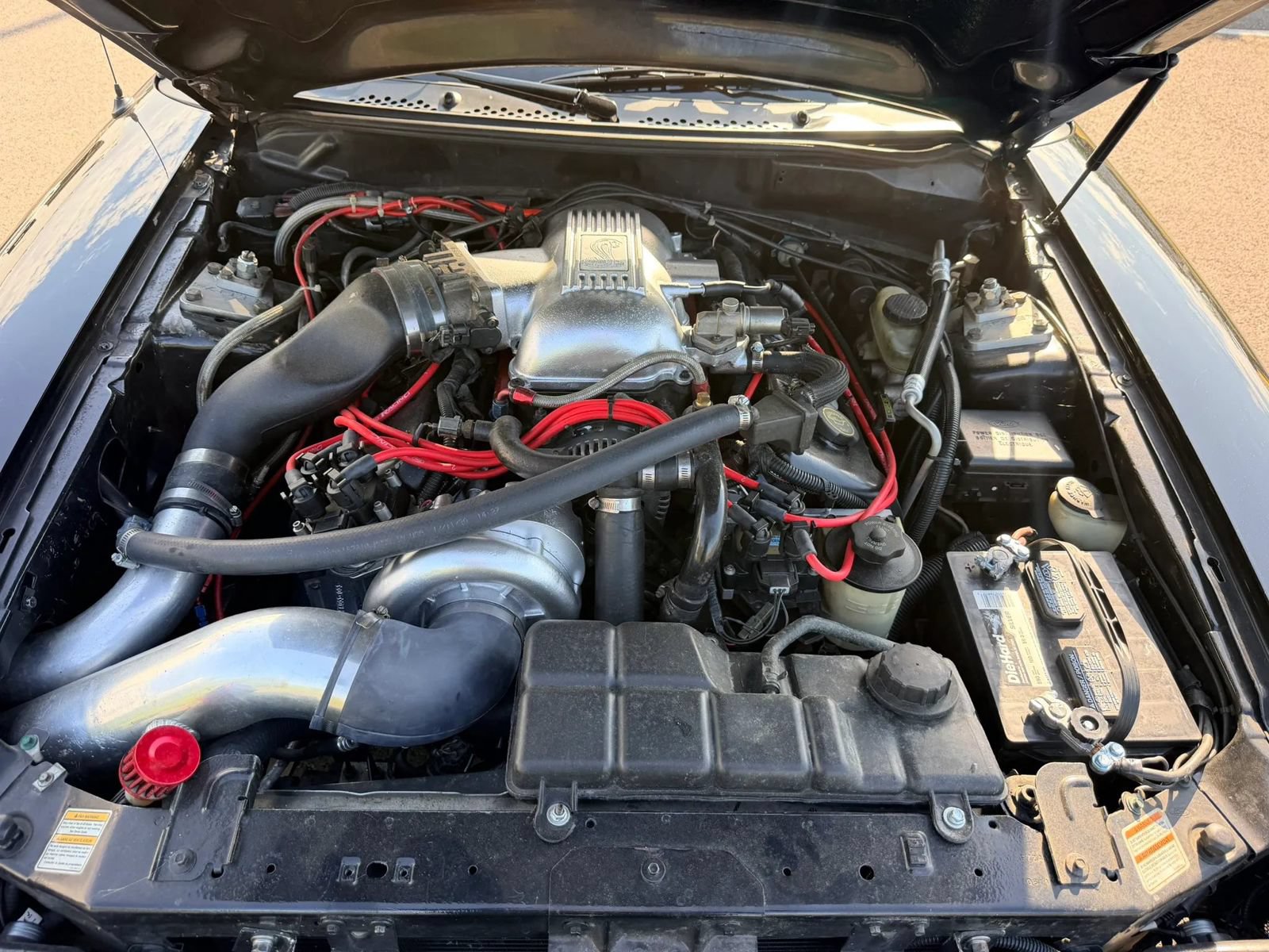 Used 1998 Ford Mustang Cobra RWD image 56