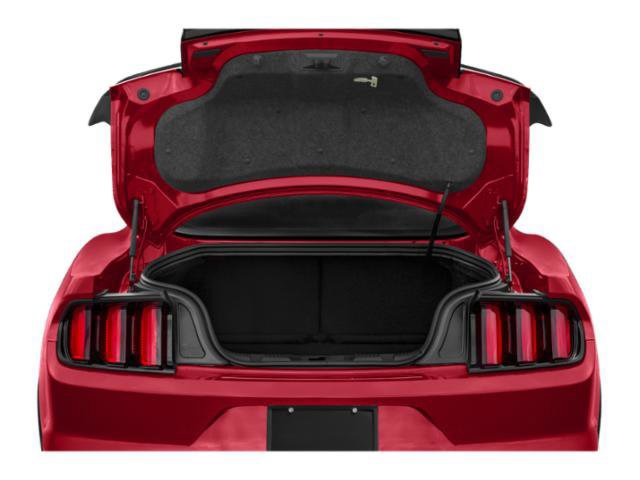 Used 2018 Ford Mustang Shelby GT350R w/ GT350R Equipment Group 920A RWD image 15