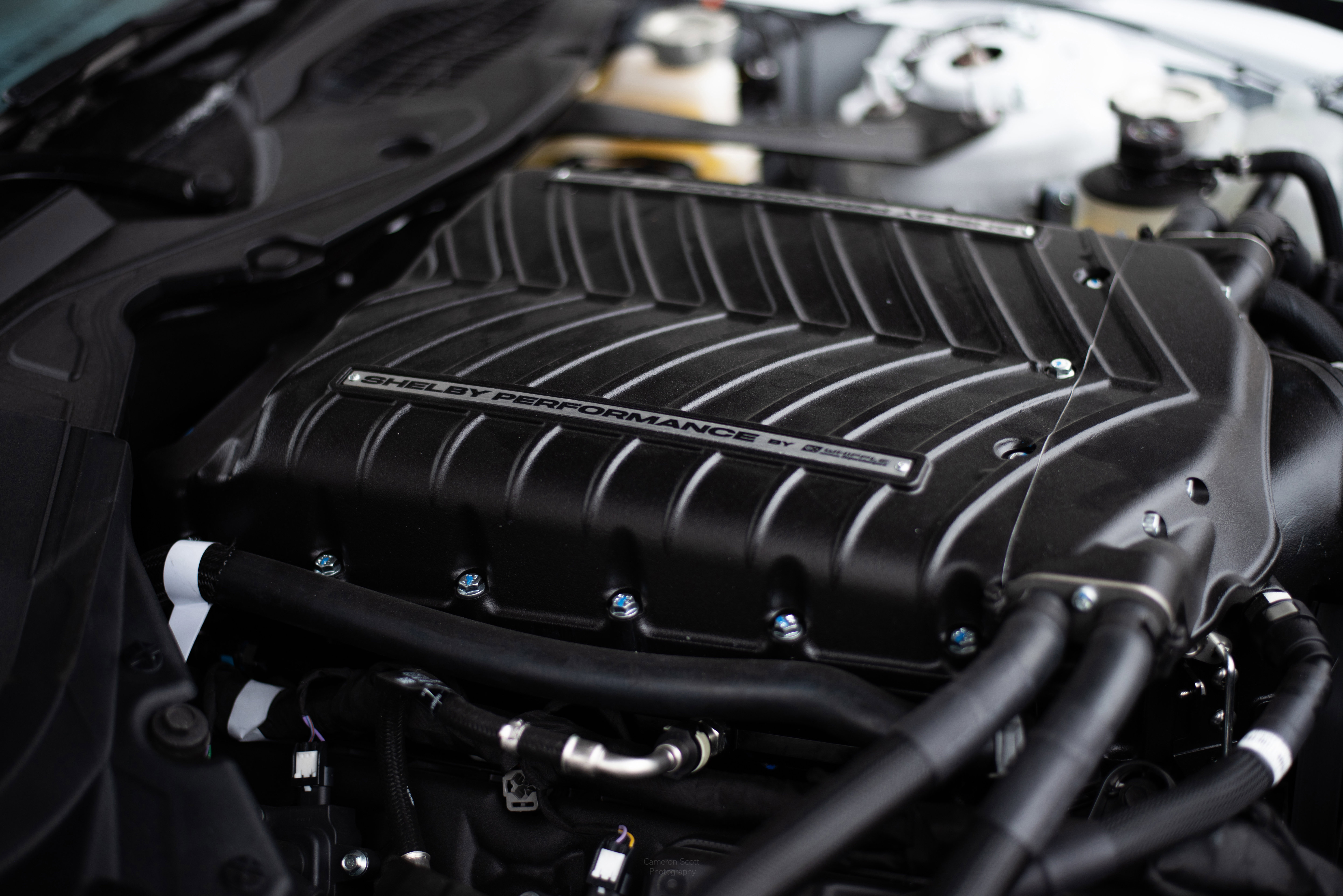 Used 2025 Ford Mustang GT w/ GT Performance Package image 3