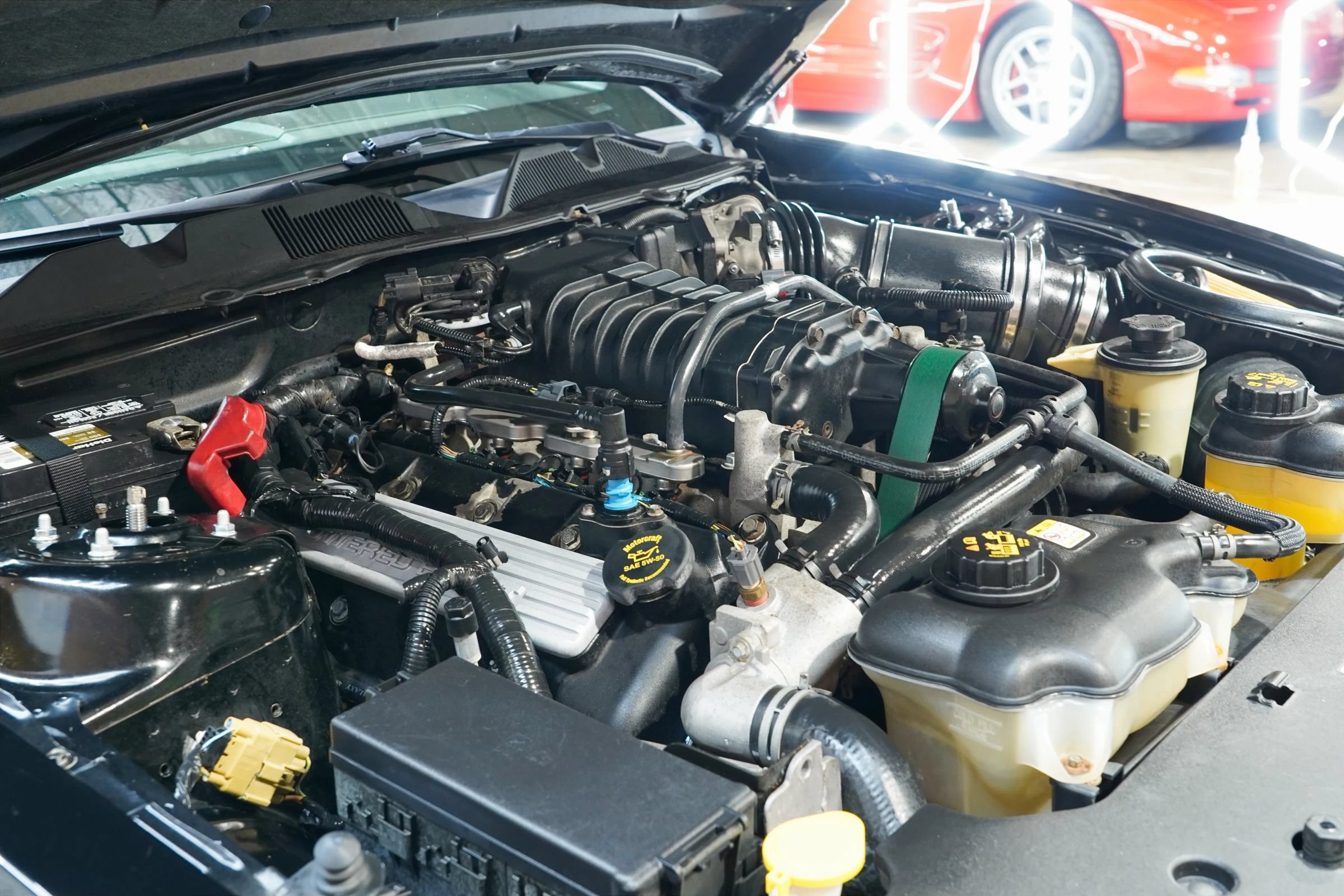 Used 2010 Ford Mustang Shelby GT500 RWD image 32