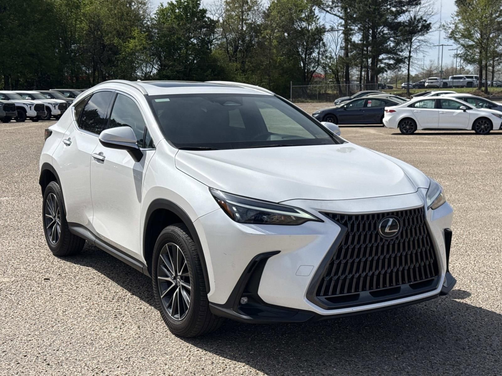 Used 2024 Lexus NX 250 FWD w/ Cold Area Package image 1