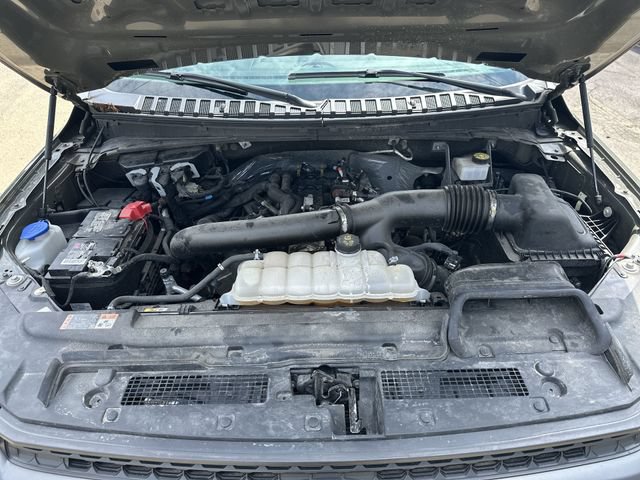 Used 2024 Ford Expedition Timberline AWD/4WD image 20
