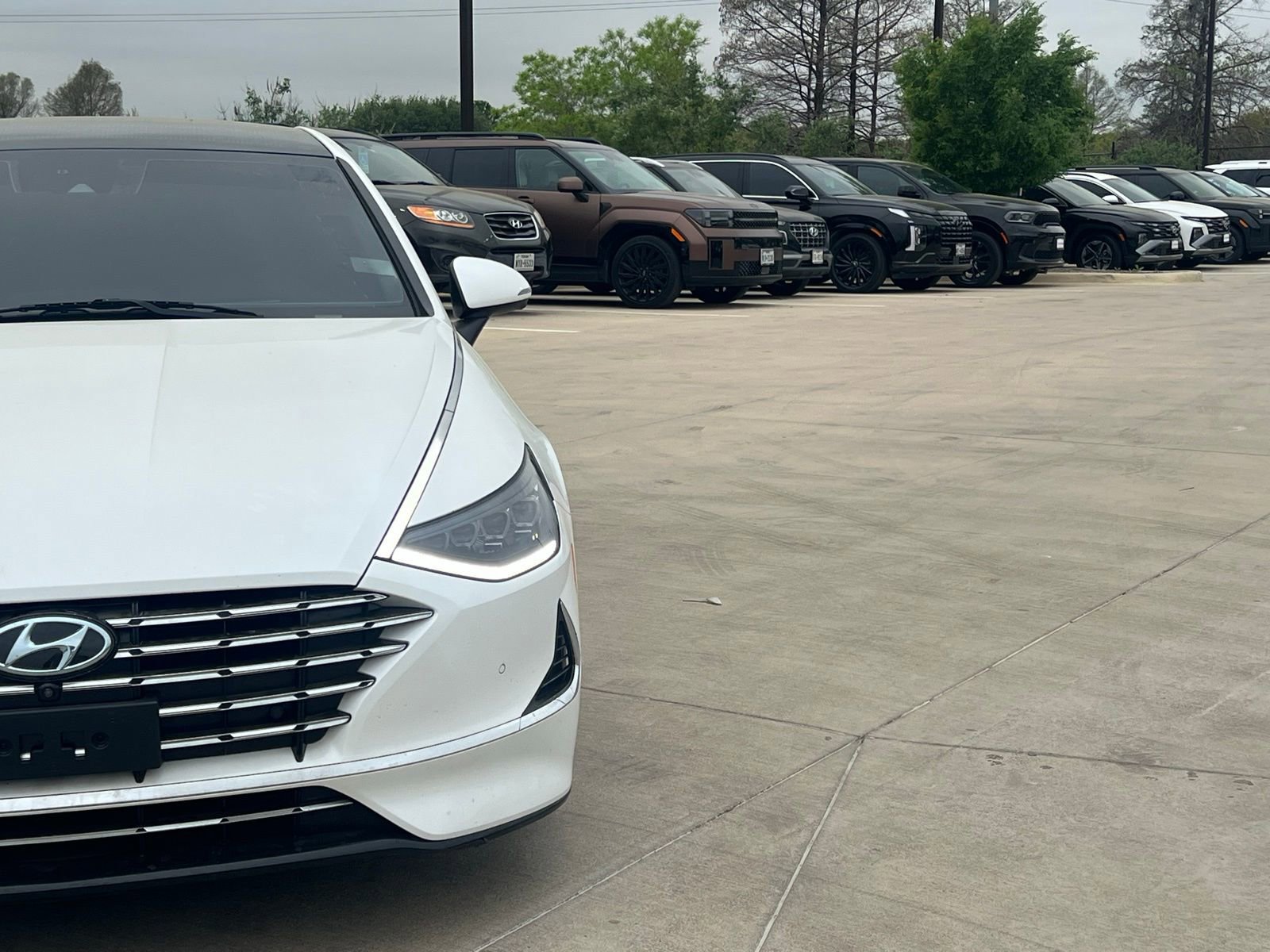 Certified 2022 Hyundai Sonata Limited FWD image 3